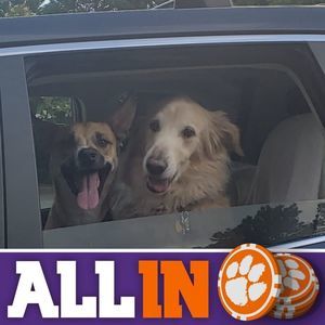 Meet your Posher, Jill